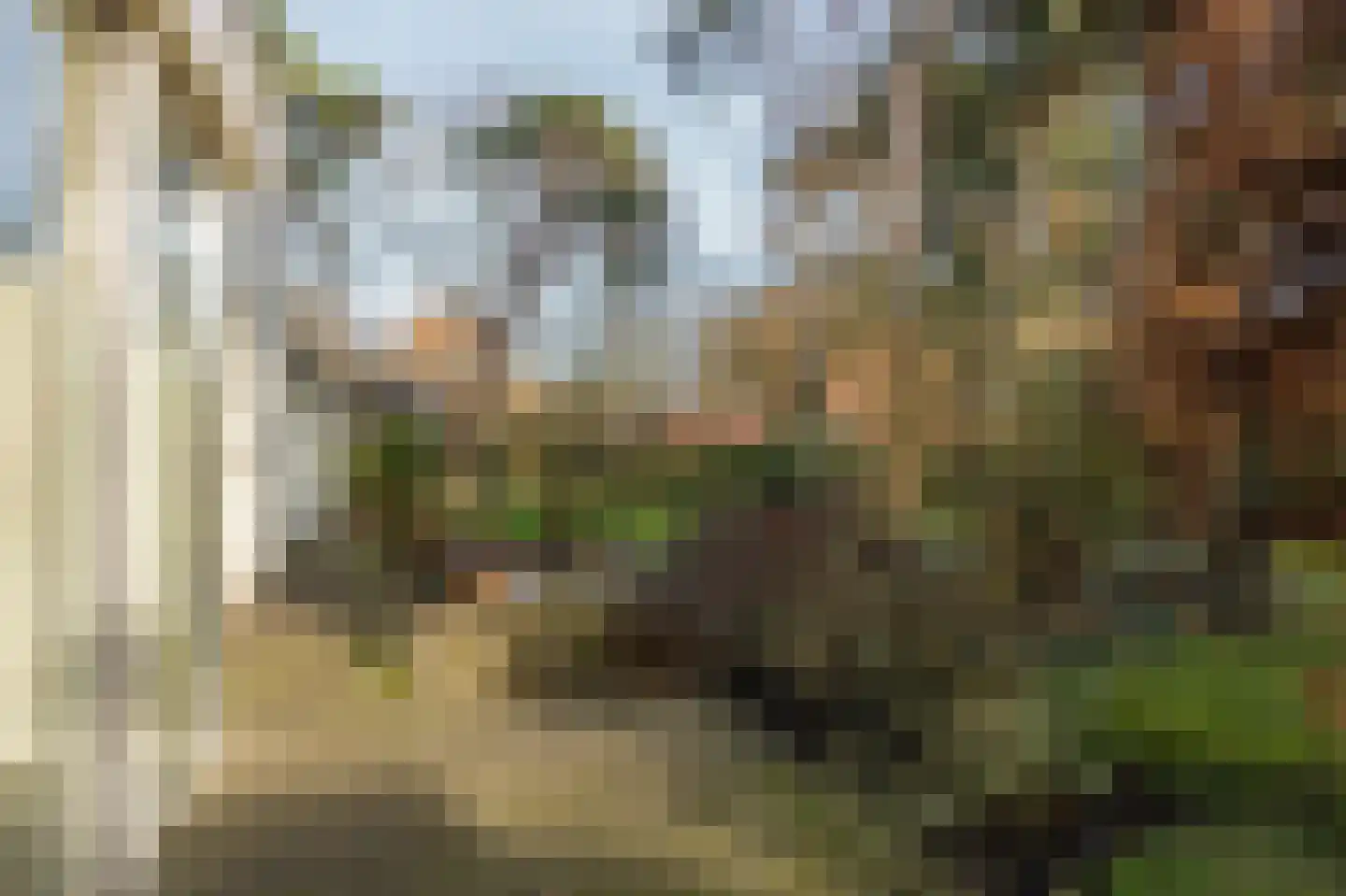 Klein Belgie 78 Vijfhuizen thumbnail 88