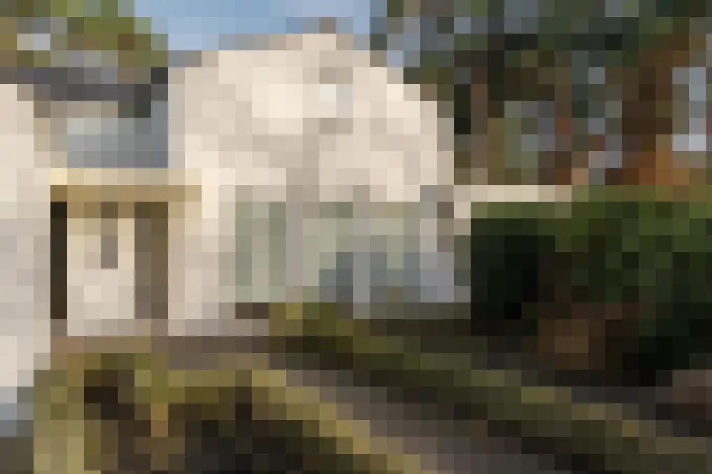 Klein Belgie 78 Vijfhuizen thumbnail 9