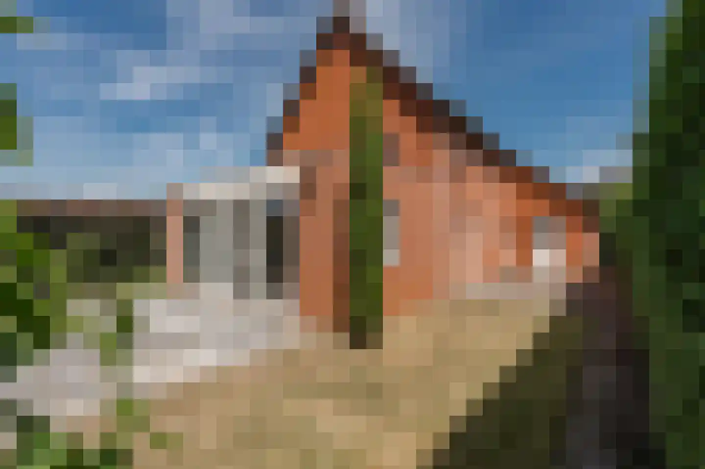 Klein Belgie 8 Vijfhuizen thumbnail 22