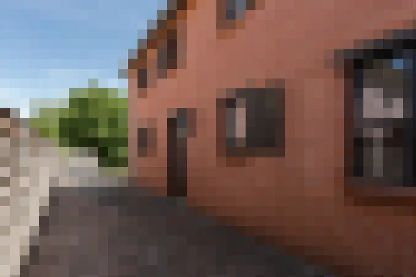 Klein Belgie 8 Vijfhuizen thumbnail 44