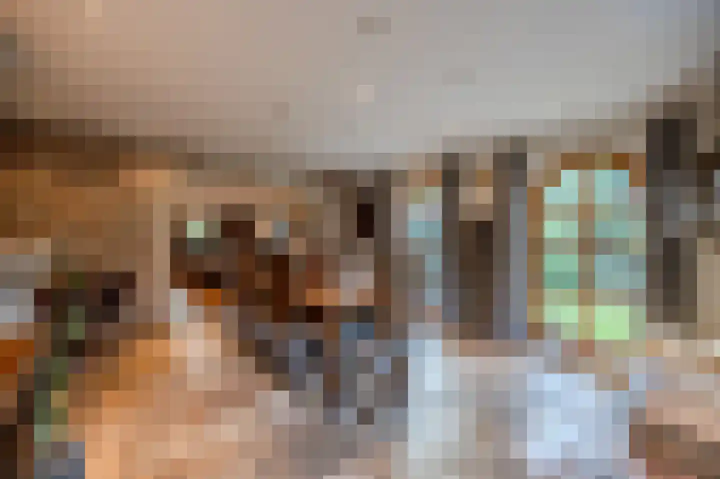 Klein Belgie 85 Vijfhuizen thumbnail 11
