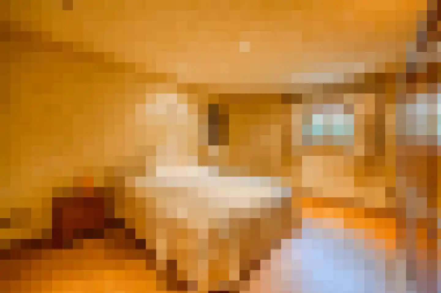 Klein Belgie 85 Vijfhuizen thumbnail 16