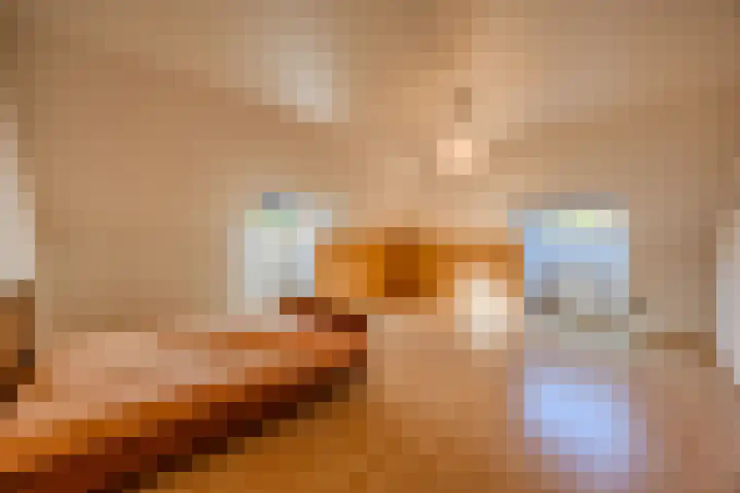 Klein Belgie 85 Vijfhuizen thumbnail 19