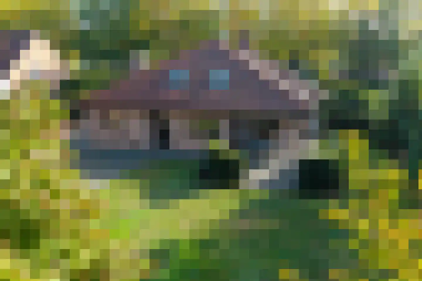 Klein Belgie 85 Vijfhuizen thumbnail 24