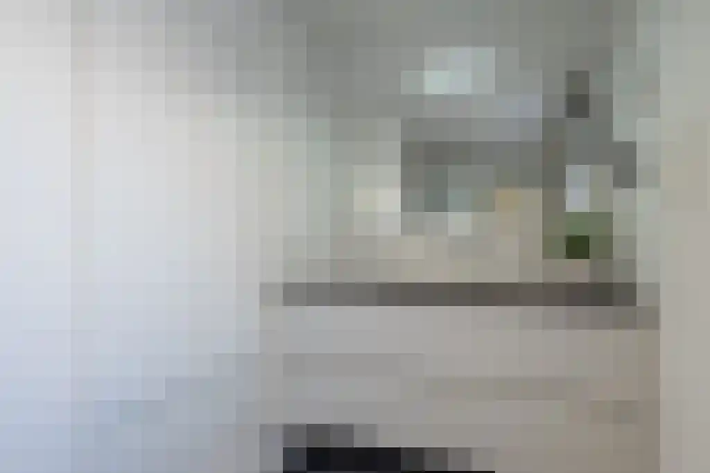 Klein Belgie 85 Vijfhuizen thumbnail 25