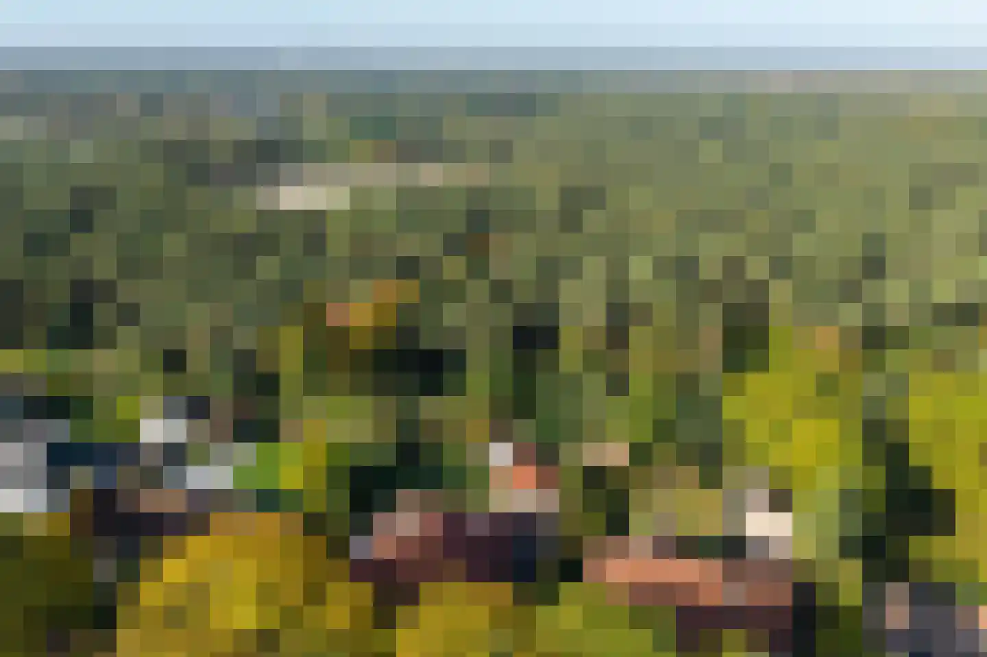 Klein Belgie 85 Vijfhuizen thumbnail 29