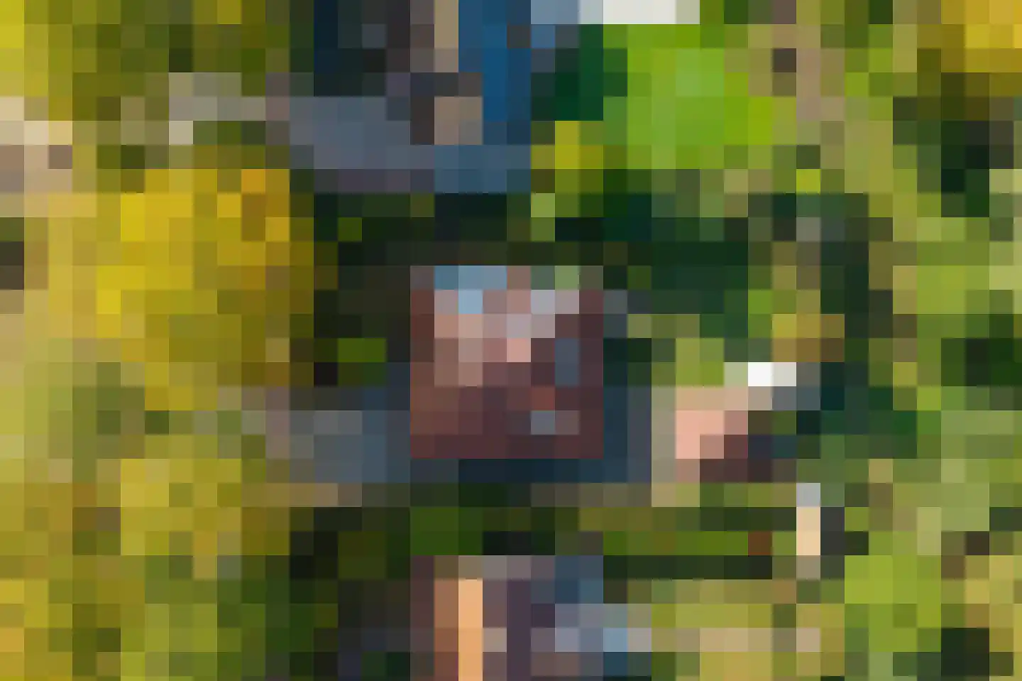 Klein Belgie 85 Vijfhuizen thumbnail 30