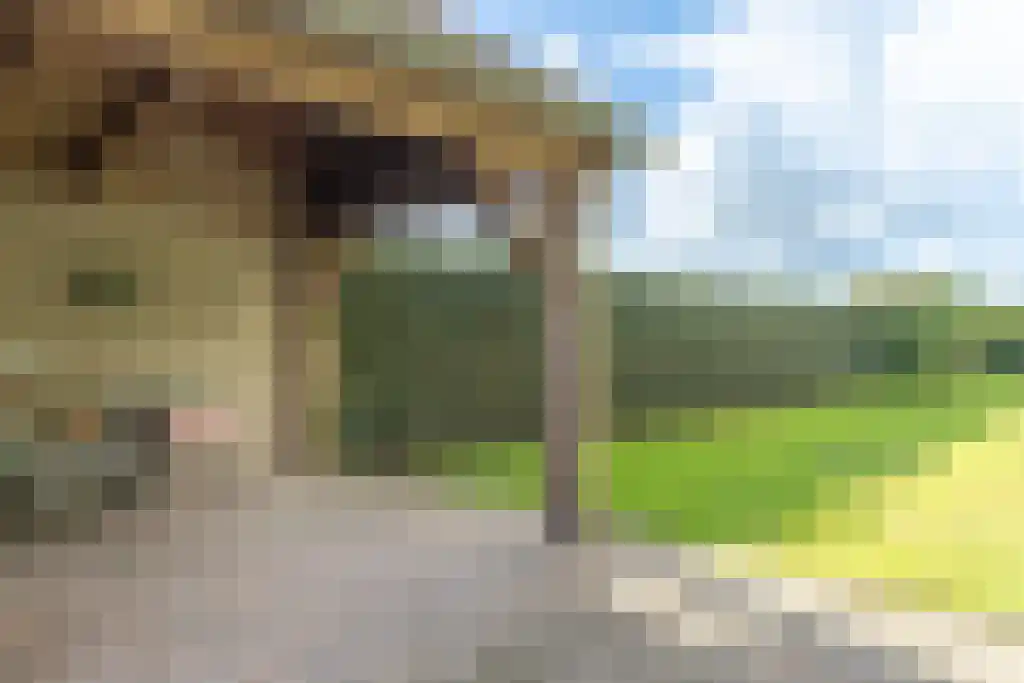 Klein Belgie 85 Vijfhuizen thumbnail 34