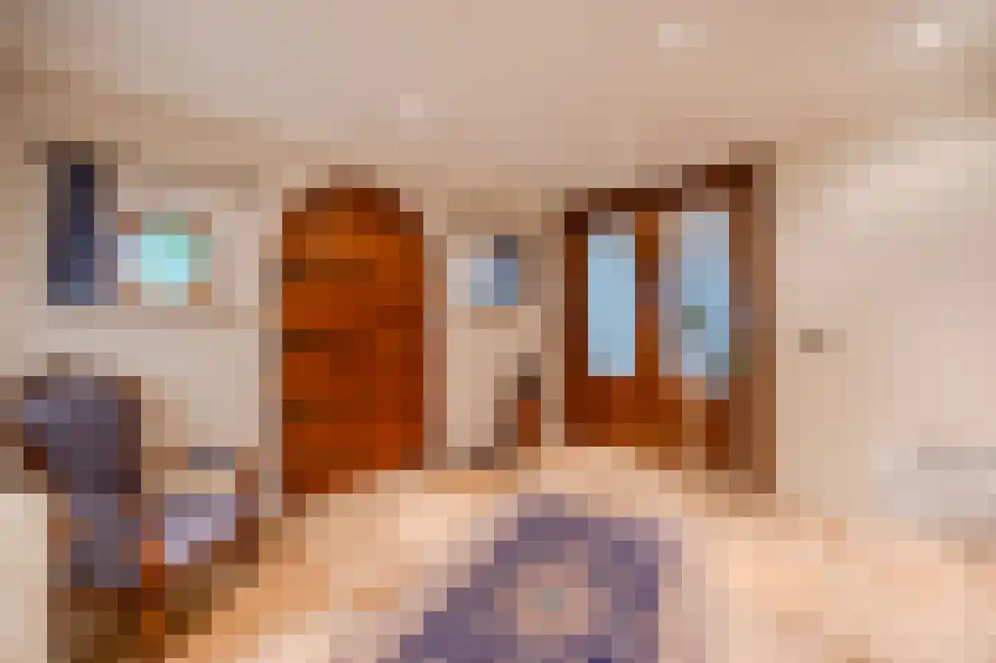 Klein Belgie 85 Vijfhuizen thumbnail 4