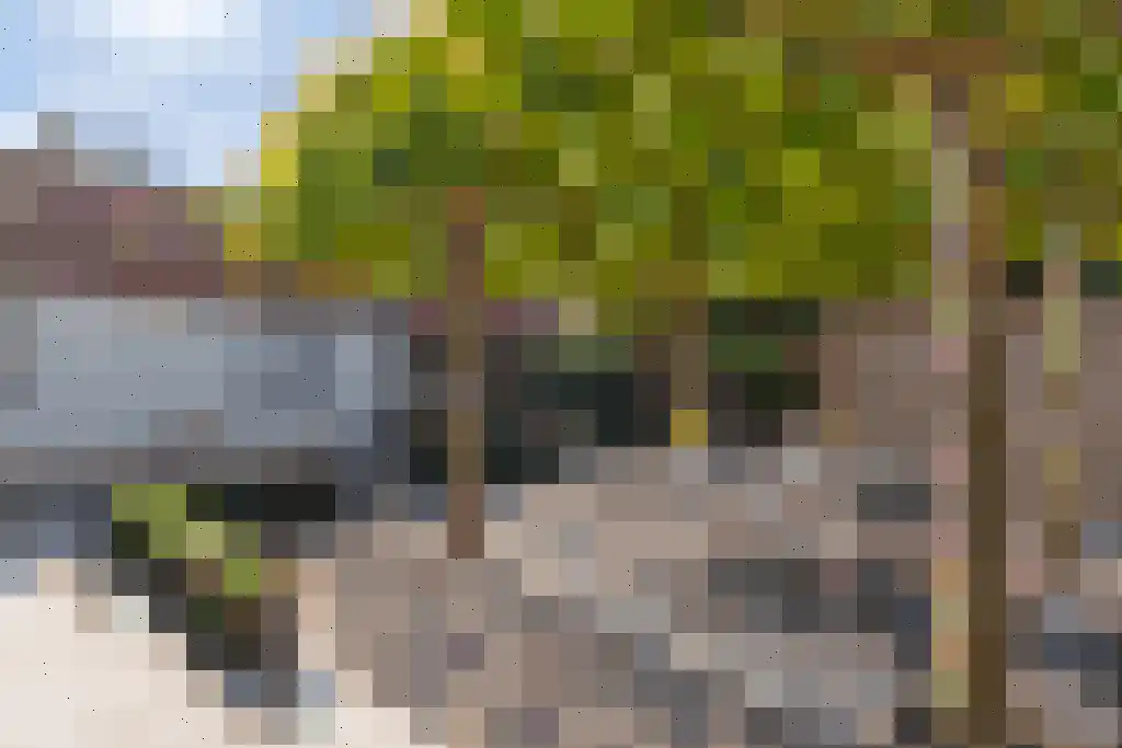 Klein Belgie 85 Vijfhuizen thumbnail 5