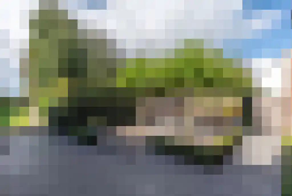 Klein Belgie 85 Vijfhuizen thumbnail 7