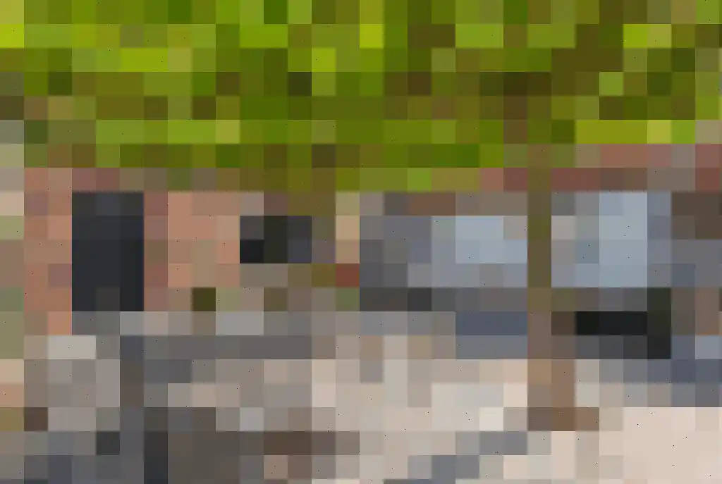 Klein Belgie 85 Vijfhuizen thumbnail 8