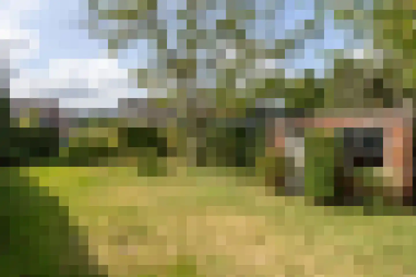 Klein Belgie 91 Vijfhuizen thumbnail 12