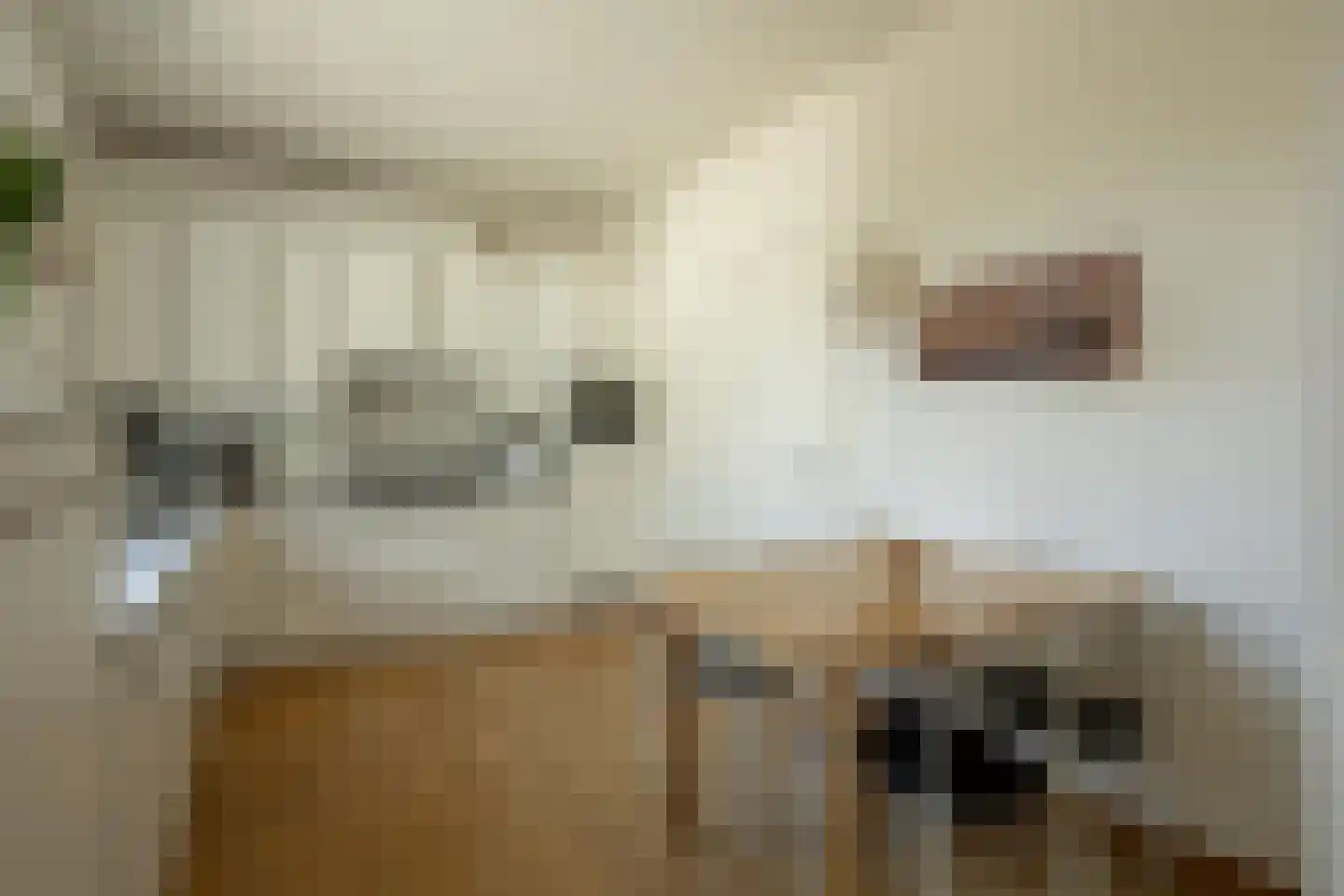 Klein Belgie 91 Vijfhuizen thumbnail 23