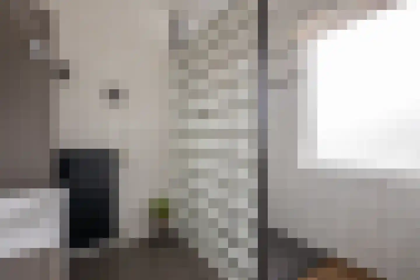 Klein Belgie 91 Vijfhuizen thumbnail 28
