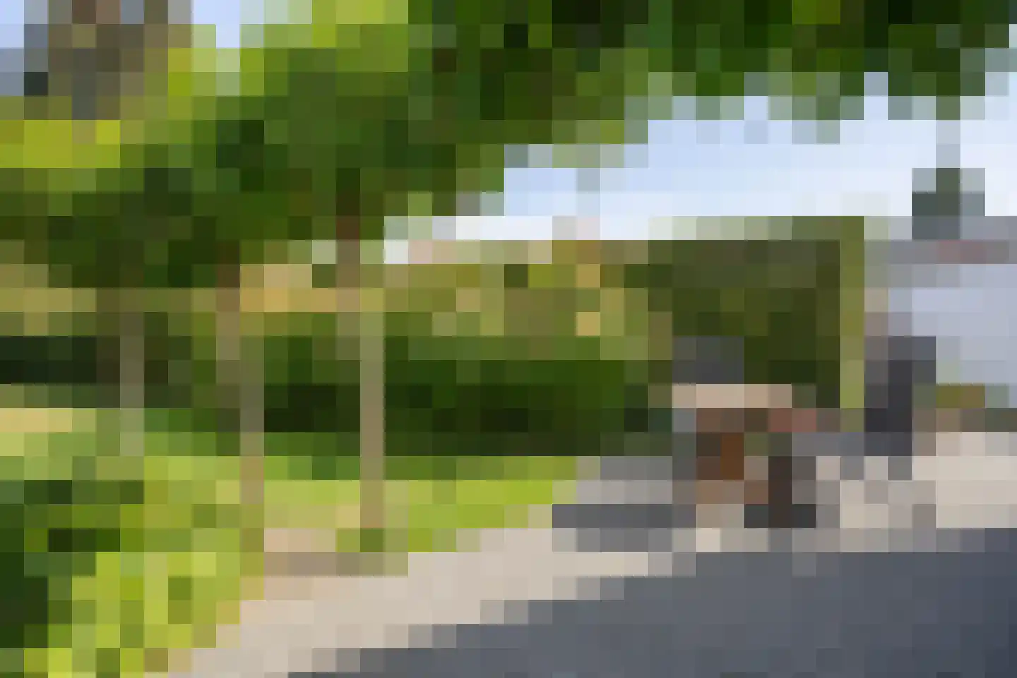 Klein Belgie 91 Vijfhuizen thumbnail 7