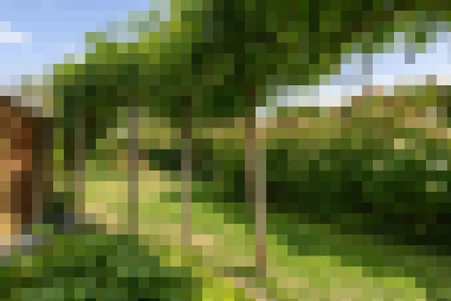 Klein Belgie 91 Vijfhuizen thumbnail 8