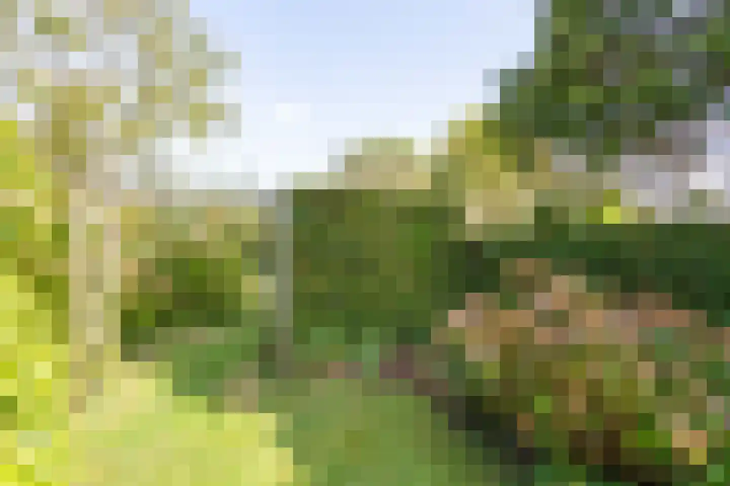 Klein Belgie 91 Vijfhuizen thumbnail 9