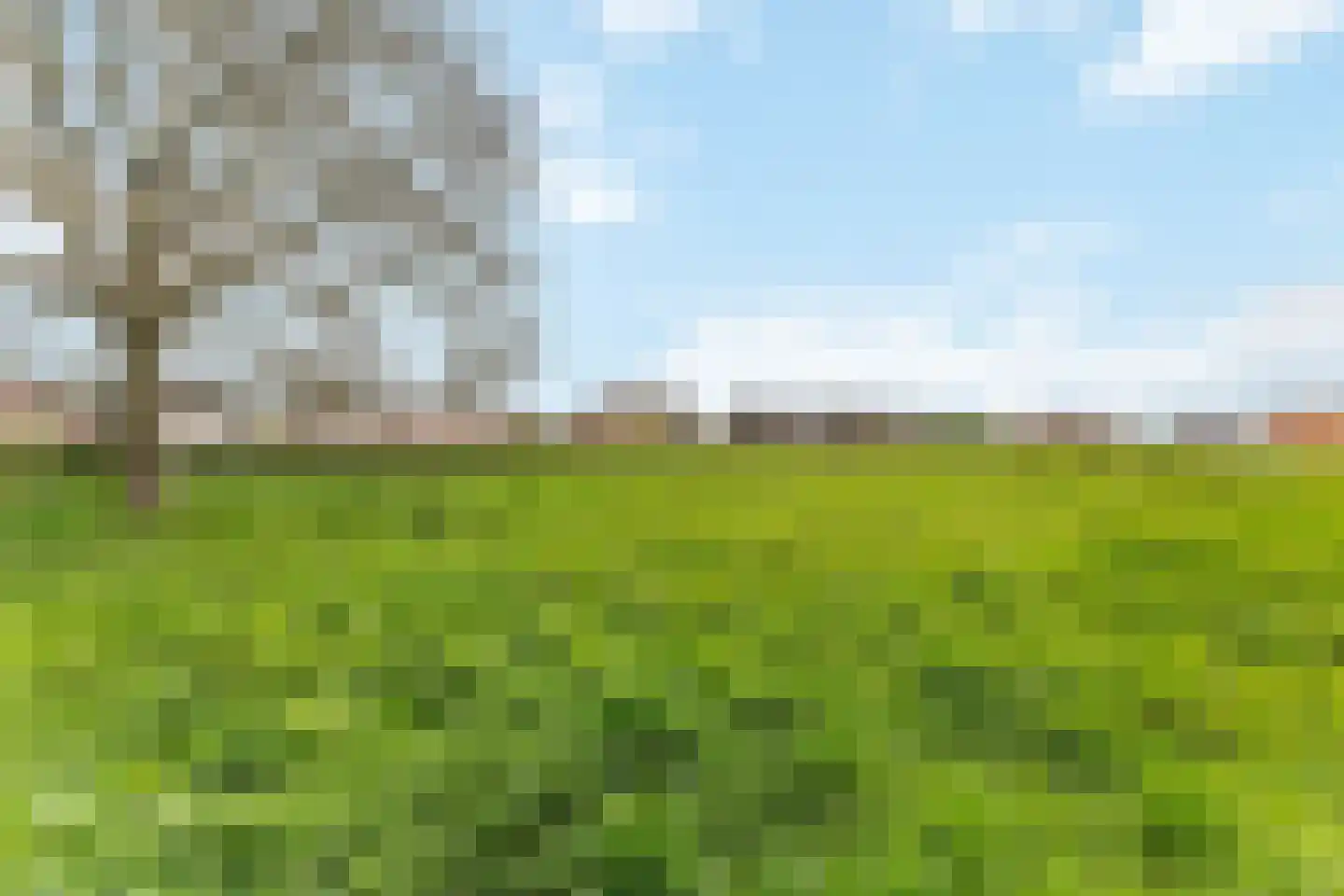 Klein Belgie Vijfhuizen thumbnail 10
