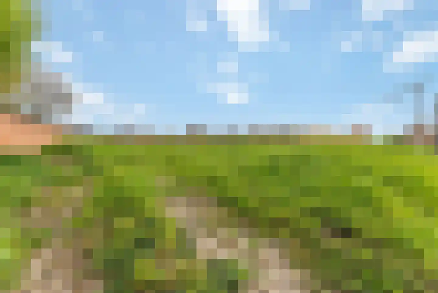 Klein Belgie Vijfhuizen thumbnail 11
