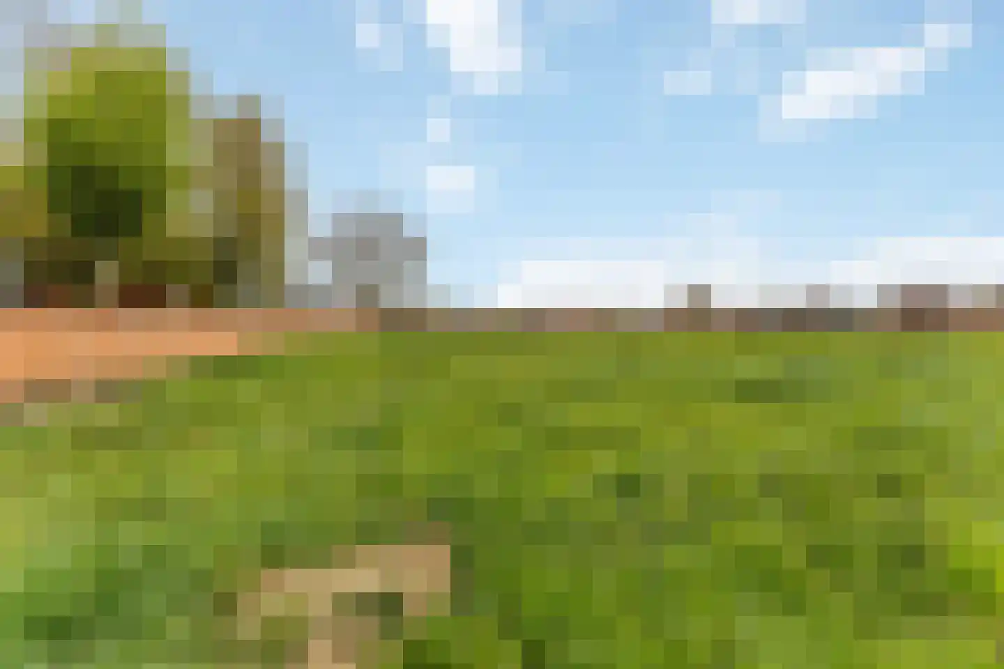 Klein Belgie Vijfhuizen thumbnail 6