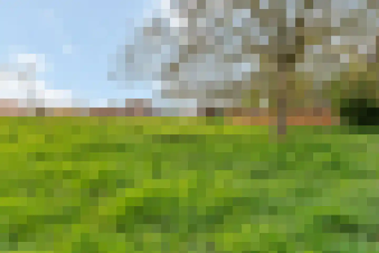 Klein Belgie Vijfhuizen thumbnail 9