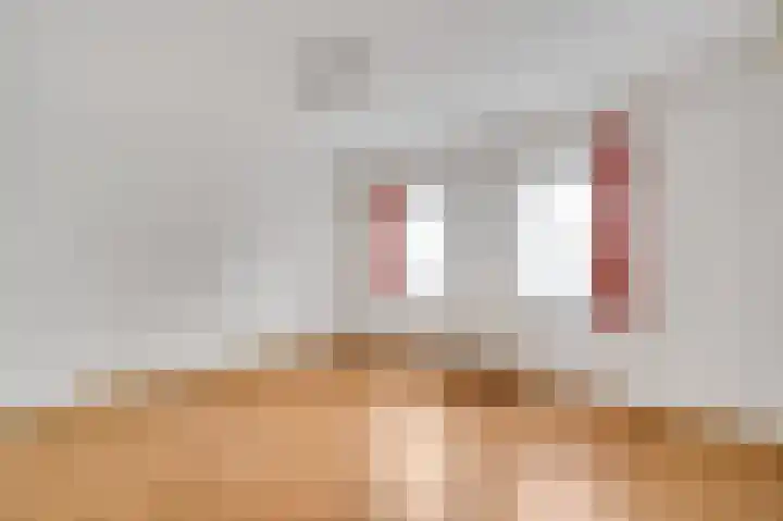 Klein Berghemmerweg 12 Ulestraten thumbnail 13