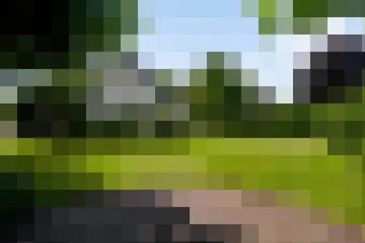 Klein Berghemmerweg 12 Ulestraten thumbnail 20