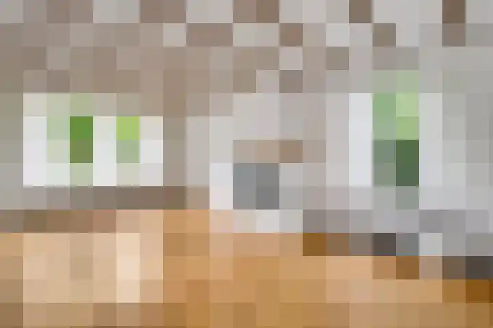 Klein Berghemmerweg 12 Ulestraten thumbnail 6