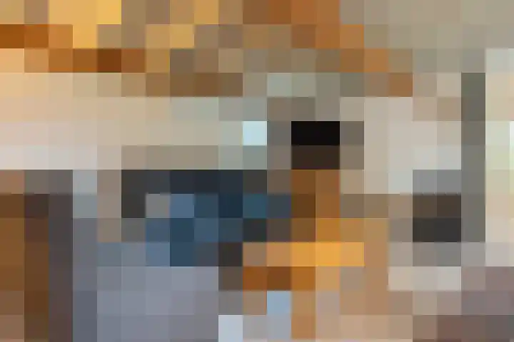 Klein Berkelaar 2 Echt thumbnail 30