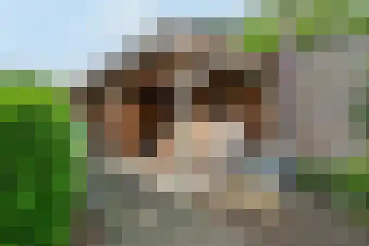 Klein Berkelaar 2 Echt thumbnail 46