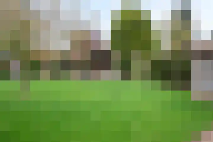 Klein Berkelaar 2 Echt thumbnail 47