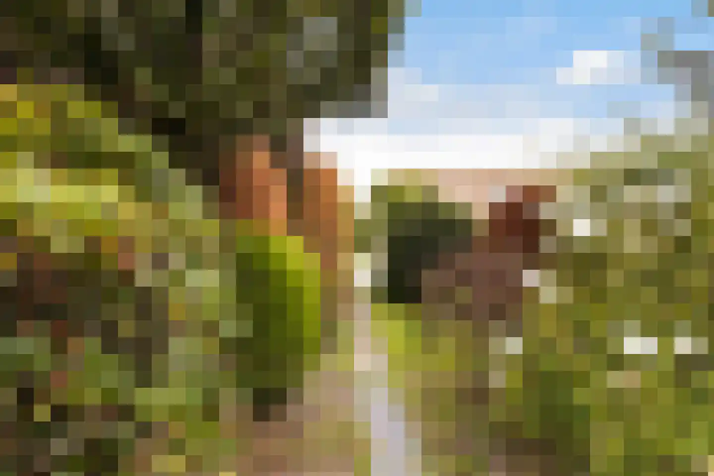 Klein Brabant 124 Roosendaal thumbnail 32