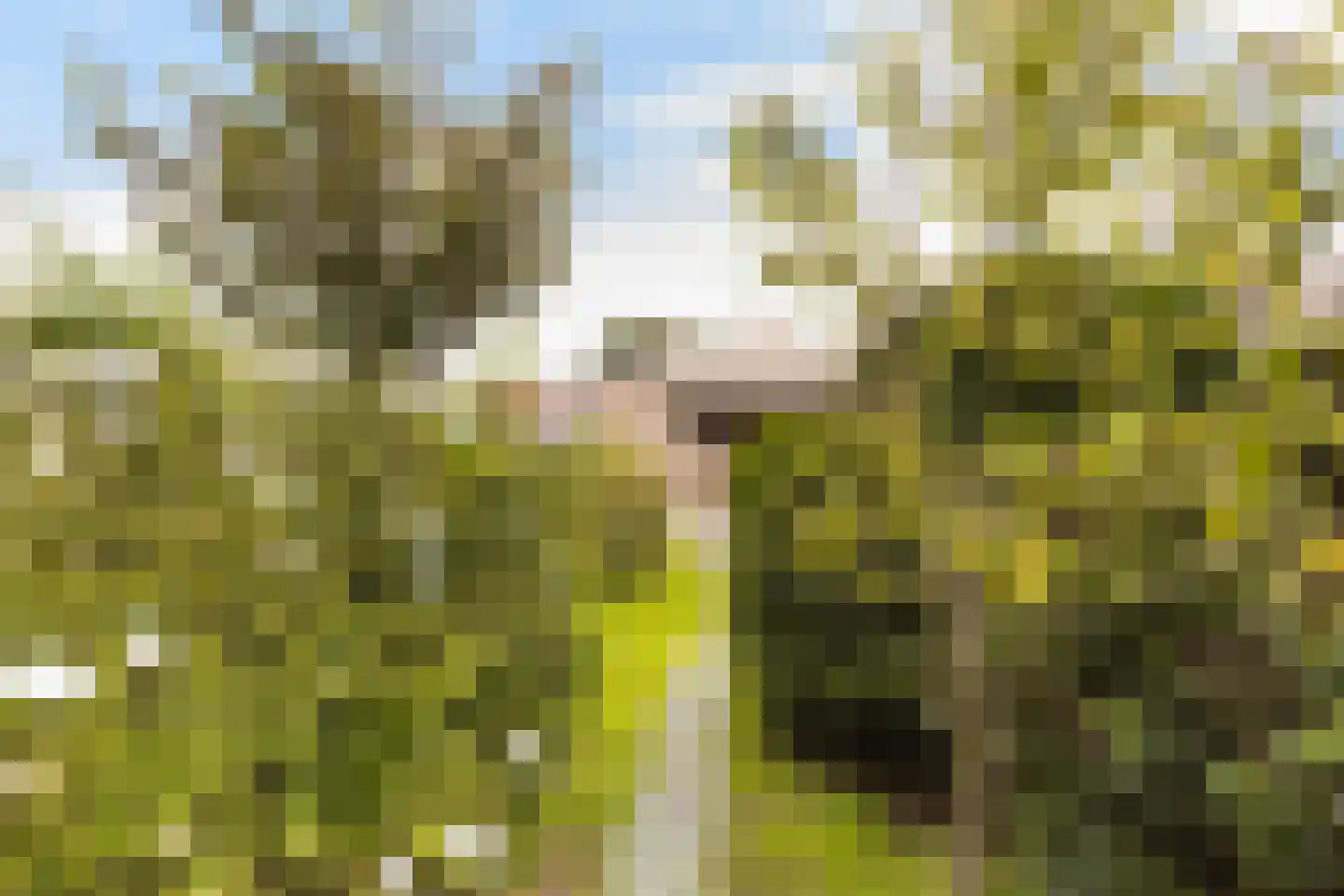 Klein Brabant 124 Roosendaal thumbnail 33
