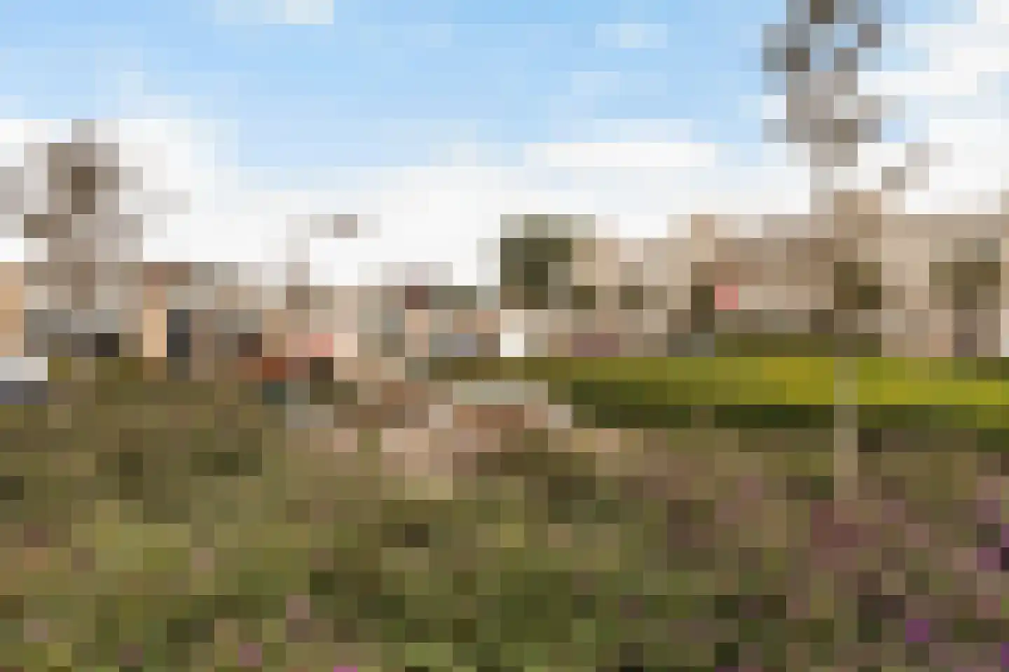 Klein Brabant 124 Roosendaal thumbnail 41