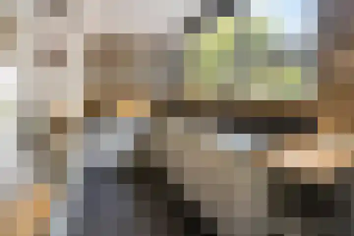 Klein Brabant 128 Vught thumbnail 14