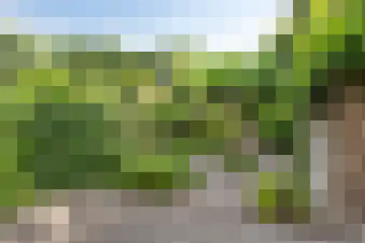 Klein Brabant 128 Vught thumbnail 17