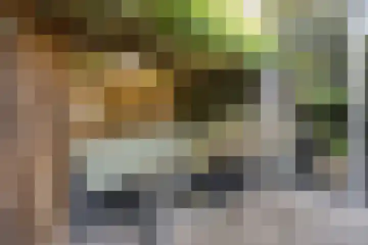 Klein Brabant 128 Vught thumbnail 19