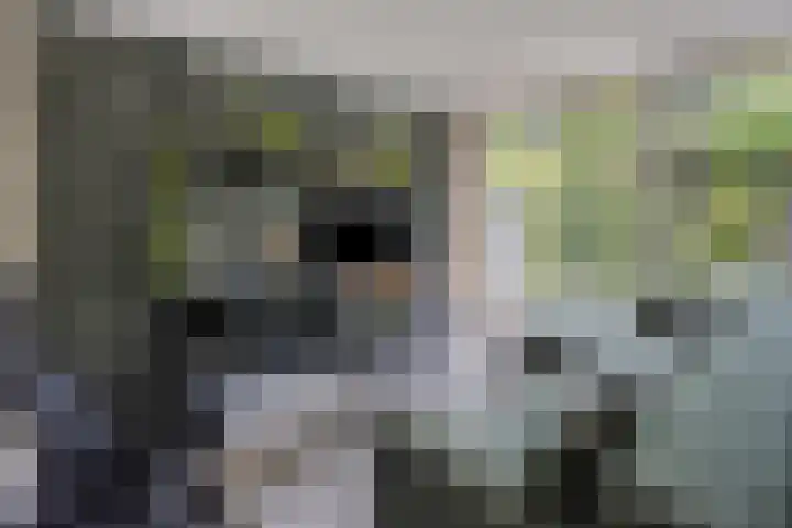 Klein Brabant 128 Vught thumbnail 9