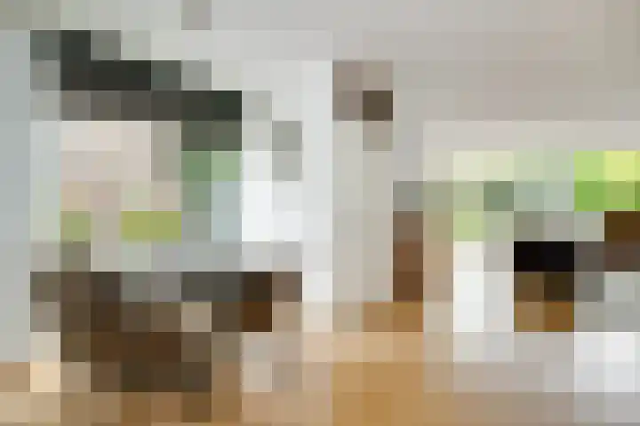 Klein Brabant 15 Vught thumbnail 12