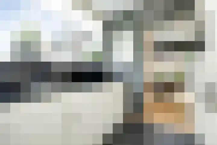Klein Brabant 15 Vught thumbnail 13