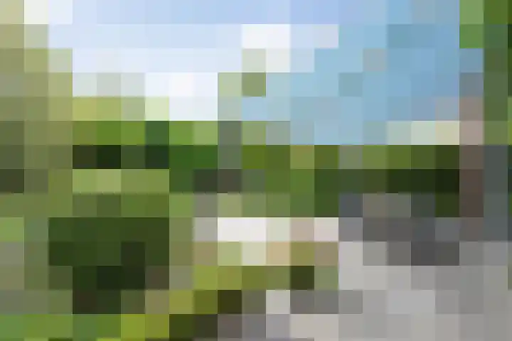 Klein Brabant 15 Vught thumbnail 23
