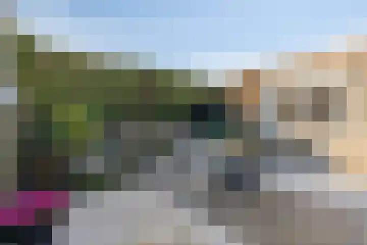 Klein Brabant 166 Roosendaal thumbnail 32