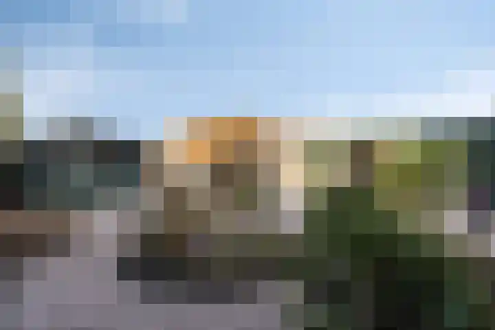 Klein Brabant 166 Roosendaal thumbnail 33