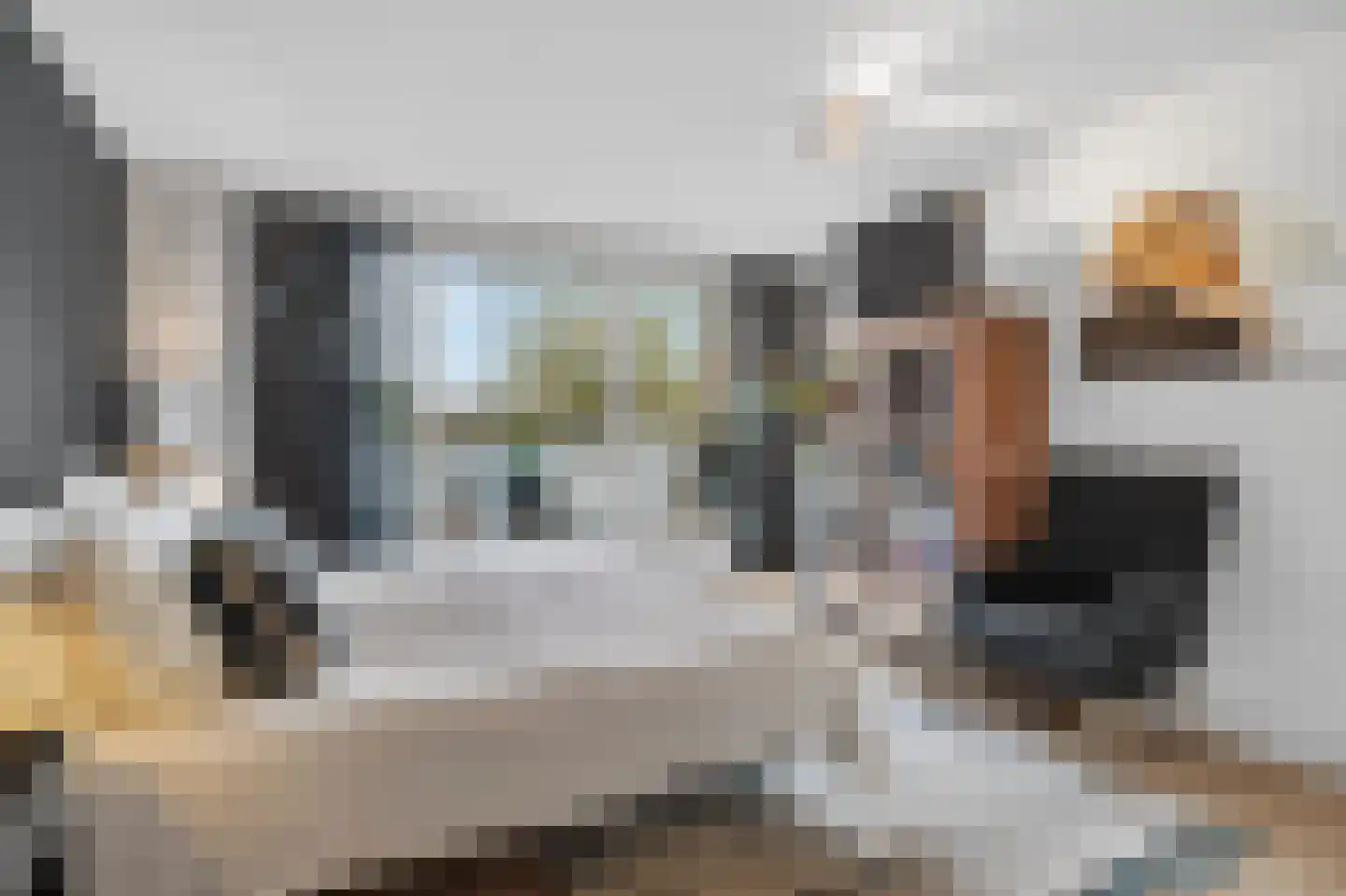 Klein Brabant 174 Vught thumbnail 33