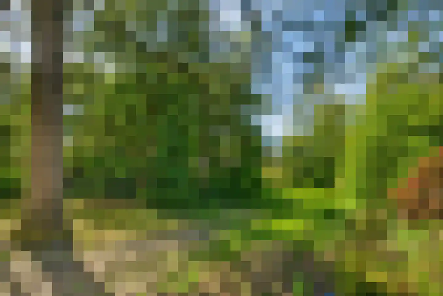 Klein Brabant 174 Vught thumbnail 58