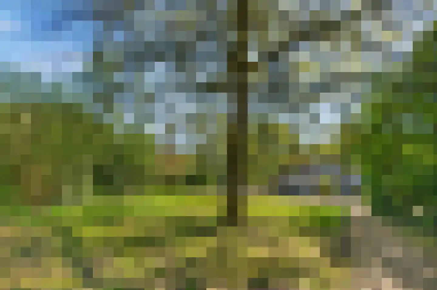 Klein Brabant 174 Vught thumbnail 59