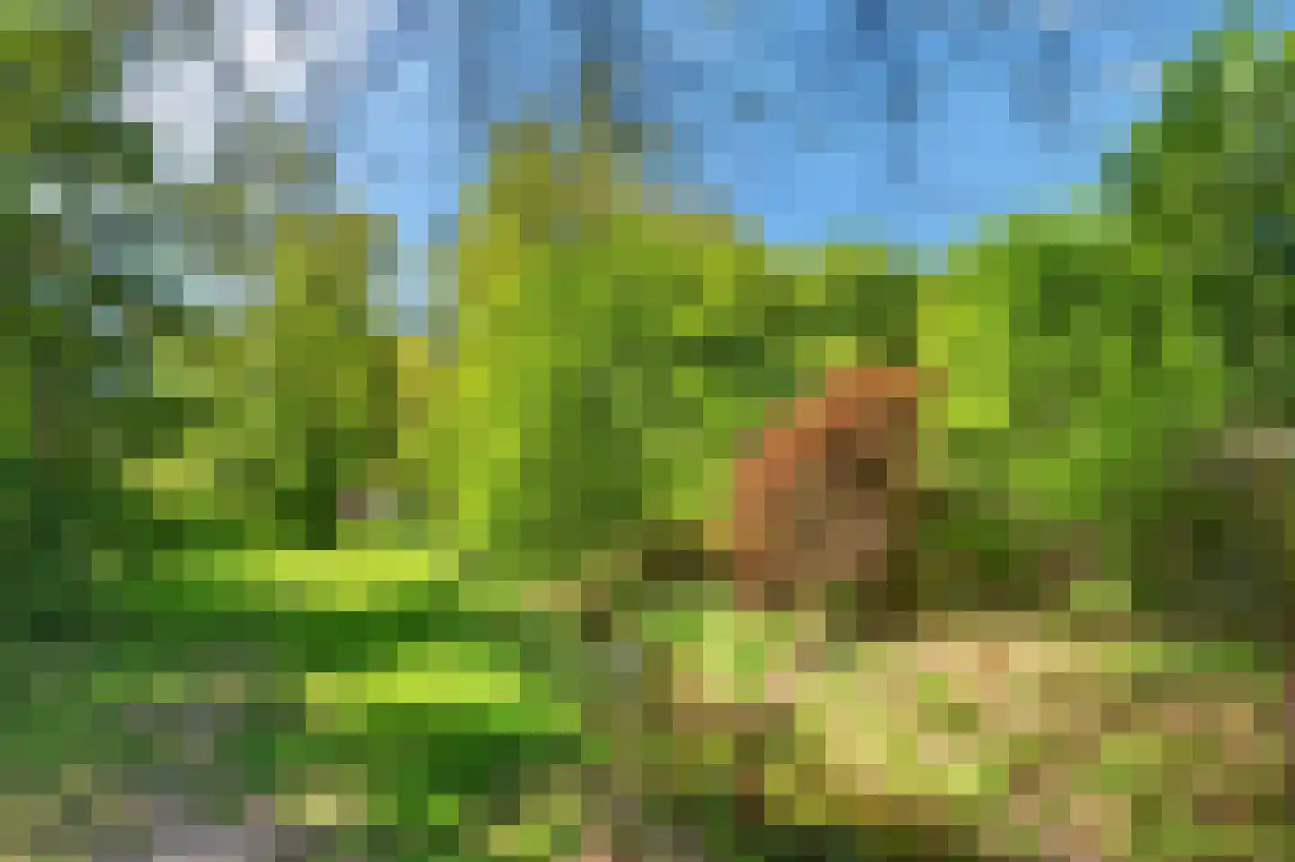 Klein Brabant 174 Vught thumbnail 60