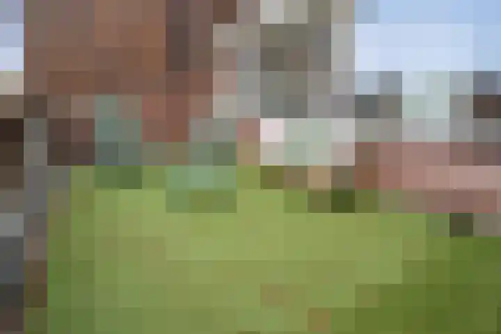 Klein Brabant 182 Vught thumbnail 24