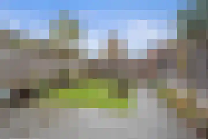 Klein Brabant 182 Vught thumbnail 36